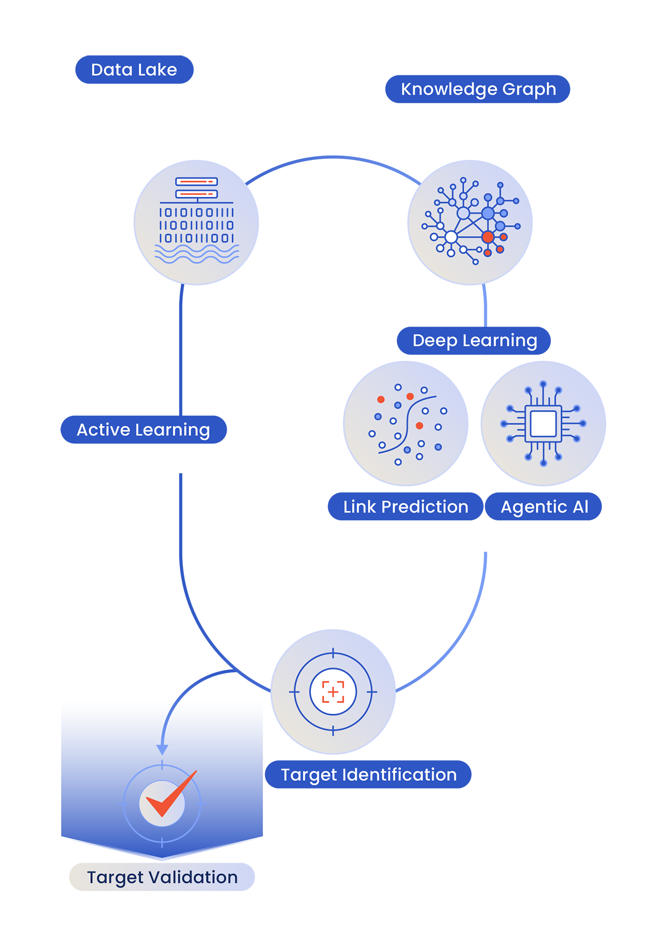 Schematic overview of Paratus’s platform for target identification, including data lake, knowledge graphing, and deep learning AI and neural network models which output a target for validation and continuously feed back data to improve the models.